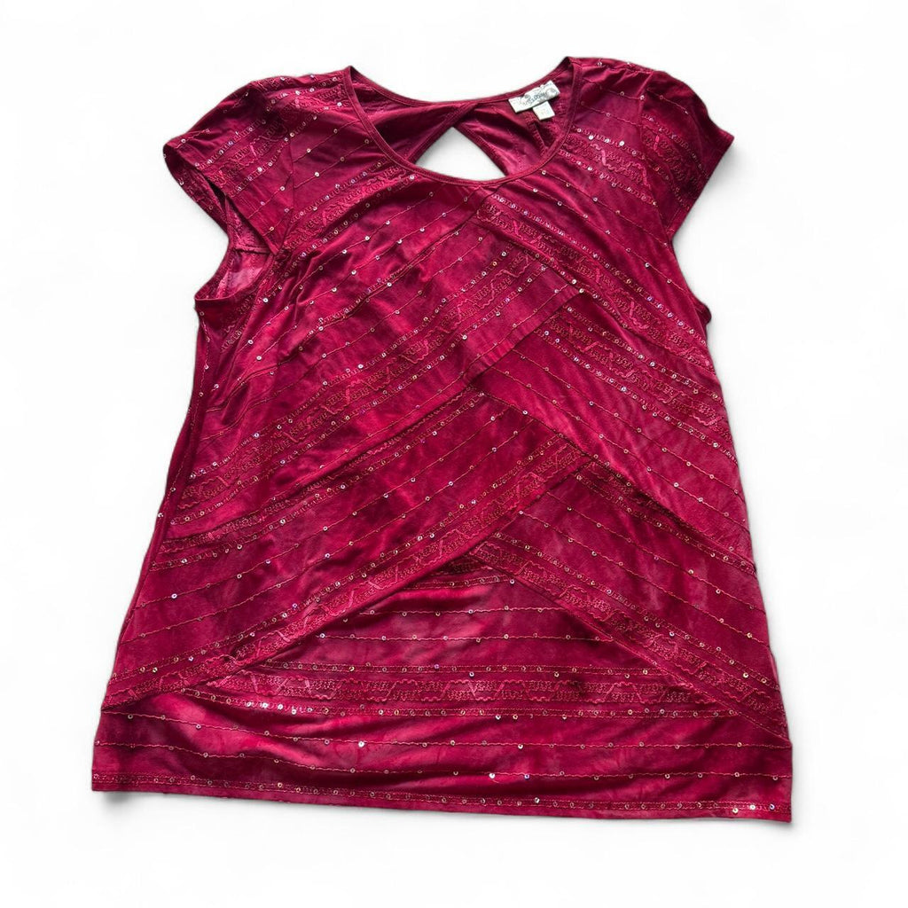 Dressbarn Sequin Detail Short Sleeve Blouse
