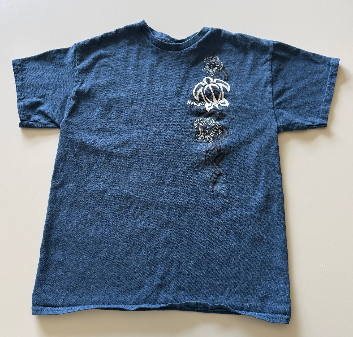 Hawaii Graphic Blue Short Sleeve T-Shirt