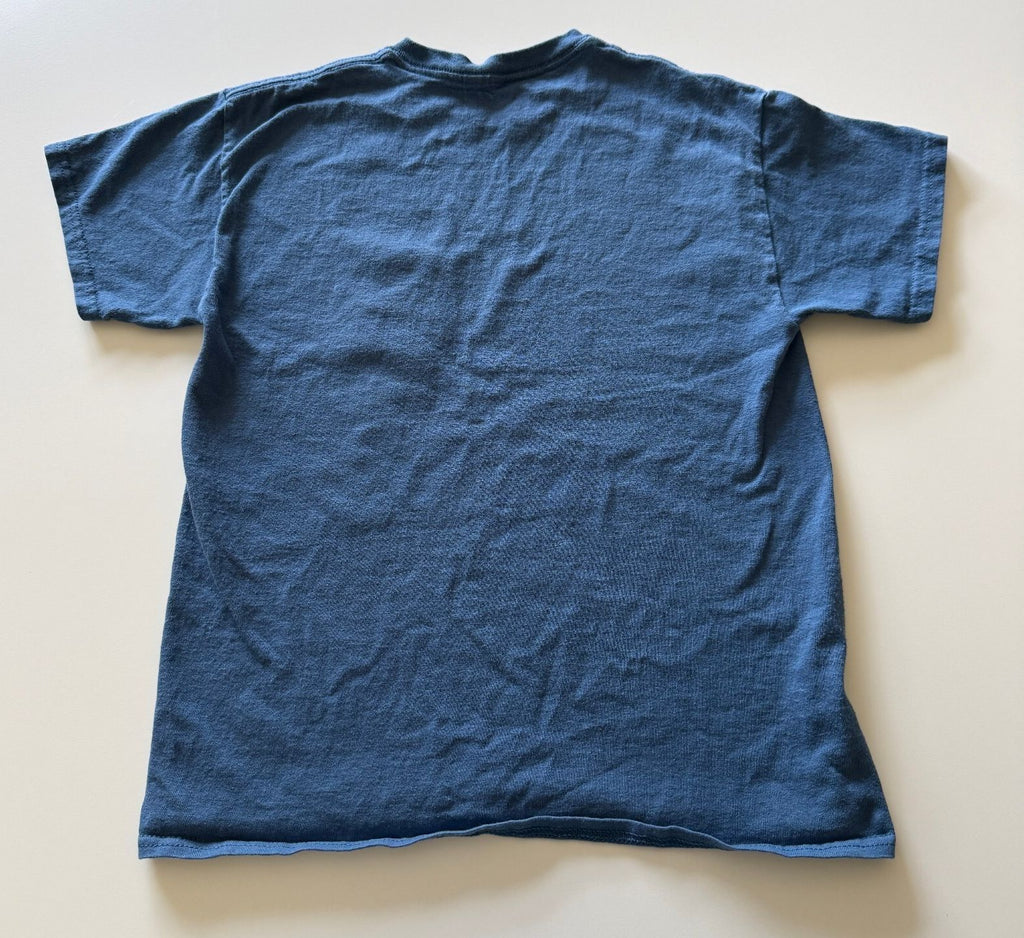 Hawaii Graphic Blue Short Sleeve T-Shirt